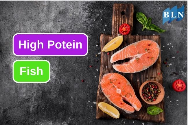 These 6 Fish Are Excellent Source of Protein